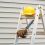 Why Invest In Quality Exterior Painting Services Near Beaverton